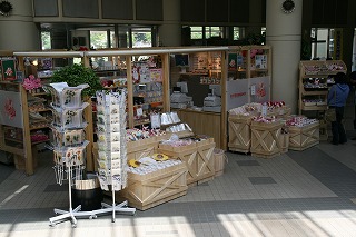 132.hibikinada002.jpg