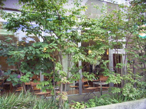 20060919-4.jpg