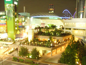 20060919-5.jpg