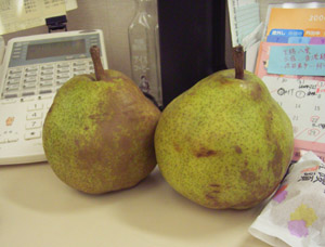 20061110.JPG