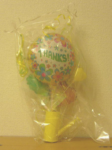 20061117s.jpg