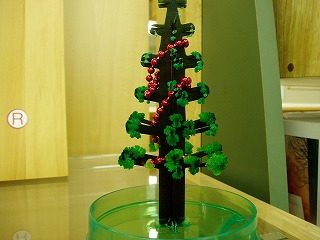 P1010005.jpg