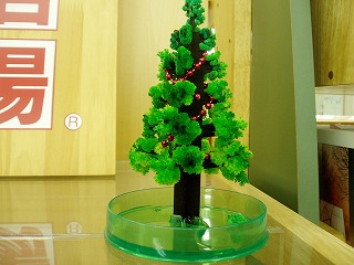 P1010009.jpg