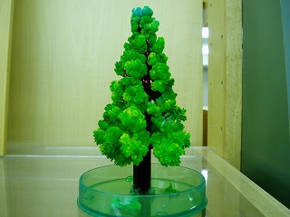 P1010014.jpg