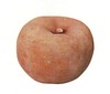 planter1.jpg